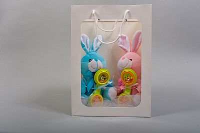 Σετ Δώρου με τσάντα για δίδυμα αγόρι-κορίτσι